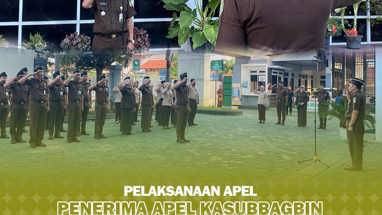 WhatsApp Image 2024-02-26 at 10.02.22