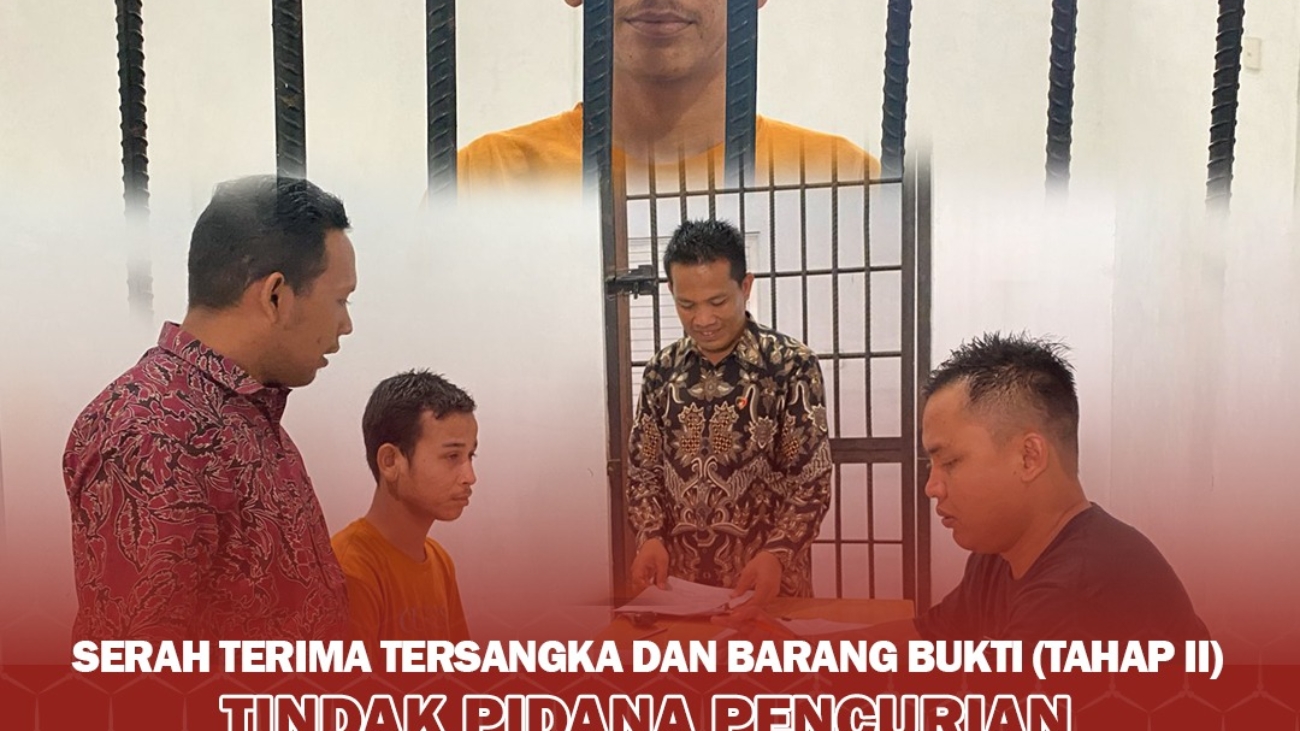 WhatsApp Image 2024-03-08 at 17.25.58