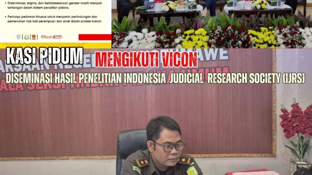 VICON PIDUM 2 DES 2024