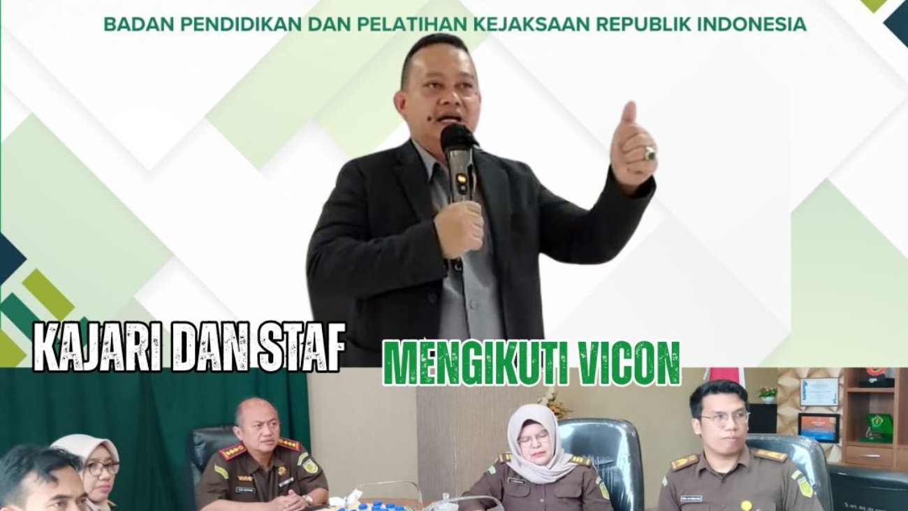 vicon kajari 2 des 2024